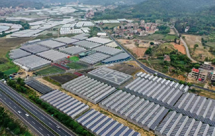 连邦科技助力同安农光互补项目并网